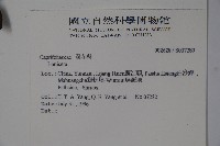 登錄號:S037289藏品圖，第2張