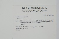 登錄號:S037298藏品圖，第2張