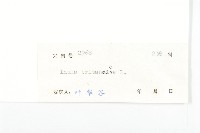 歐亞旋覆花藏品圖，第3張