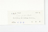 蒼耳藏品圖，第3張