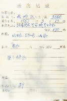 臭濱芥、臭薺藏品圖，第2張