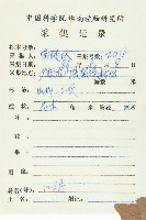 禿瓣杜英藏品圖，第2張