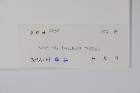 嶺南槭藏品圖，第2張