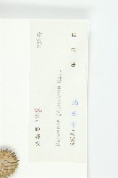 續斷藏品圖，第3張