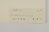 珍珠蒿、奇蒿藏品圖，第3張