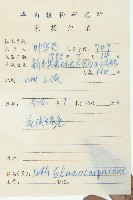 杜英藏品圖，第2張