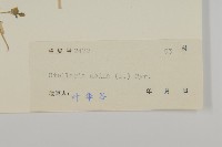 繁縷藏品圖，第3張