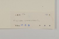 天名精藏品圖，第3張