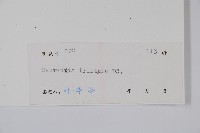 水東哥藏品圖，第2張