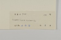 燈豎朽藏品圖，第3張