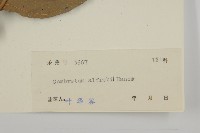 風車子藏品圖，第3張