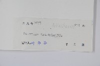 水東哥藏品圖，第2張