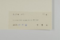 牛繁縷藏品圖，第3張