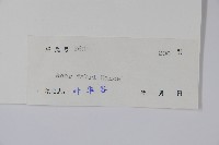 紅翅槭藏品圖，第2張