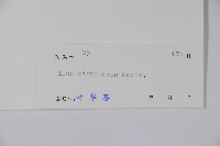 朱紅水木藏品圖，第2張