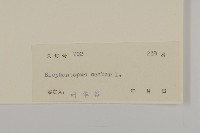 燈豎朽藏品圖，第3張