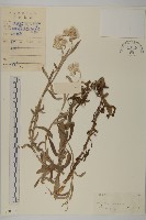 登錄號:S038102藏品圖，第1張