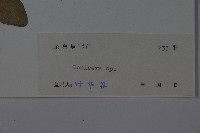 登錄號:S038113藏品圖，第2張