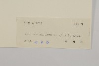 下田菊藏品圖，第3張