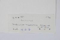 海南杞李參藏品圖，第2張