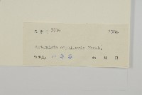 茵蔯蒿藏品圖，第3張