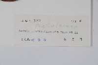 華南樺藏品圖，第2張