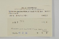 密花假衛矛藏品圖，第3張