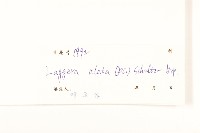 六角草藏品圖，第3張