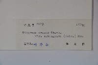 登錄號:S038304藏品圖，第2張