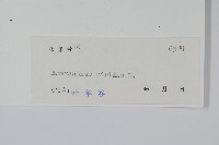 野莧菜藏品圖，第2張