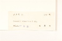 閩粵千里光藏品圖，第3張