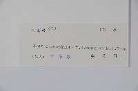 登錄號:S038377藏品圖，第2張