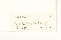 豨簽藏品圖，第3張