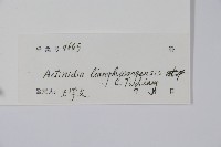 兩廣獼猴桃藏品圖，第2張