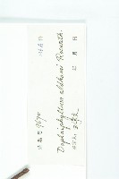 俄氏虎皮楠、蘭嶼虎皮楠、虎皮楠藏品圖，第3張