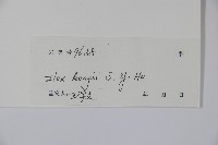 盤柱冬青藏品圖，第2張