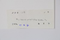 黃金鳳藏品圖，第2張