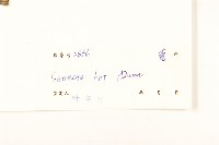 滇南千里光藏品圖，第3張