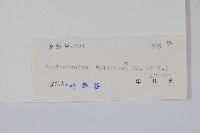 木蜡樹、野漆樹藏品圖，第2張