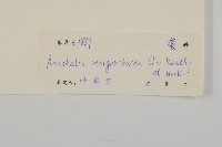 抱莖籟簫藏品圖，第3張