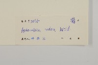 艾、五月艾藏品圖，第3張