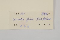 草珊瑚、紅果金粟蘭藏品圖，第3張