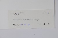 黃連木、爛心木藏品圖，第2張