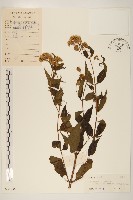 登錄號:S038836藏品圖，第1張