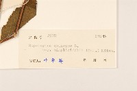 登錄號:S038836藏品圖，第3張