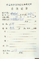 禿瓣杜英藏品圖，第2張