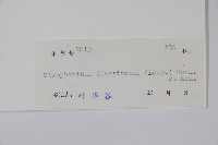 羊角扭藏品圖，第2張