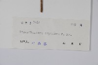 登錄號:S038978藏品圖，第2張