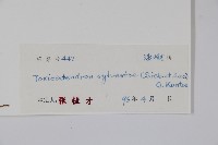 木蜡樹、野漆樹藏品圖，第2張