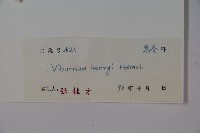 巴東莢迷藏品圖，第2張